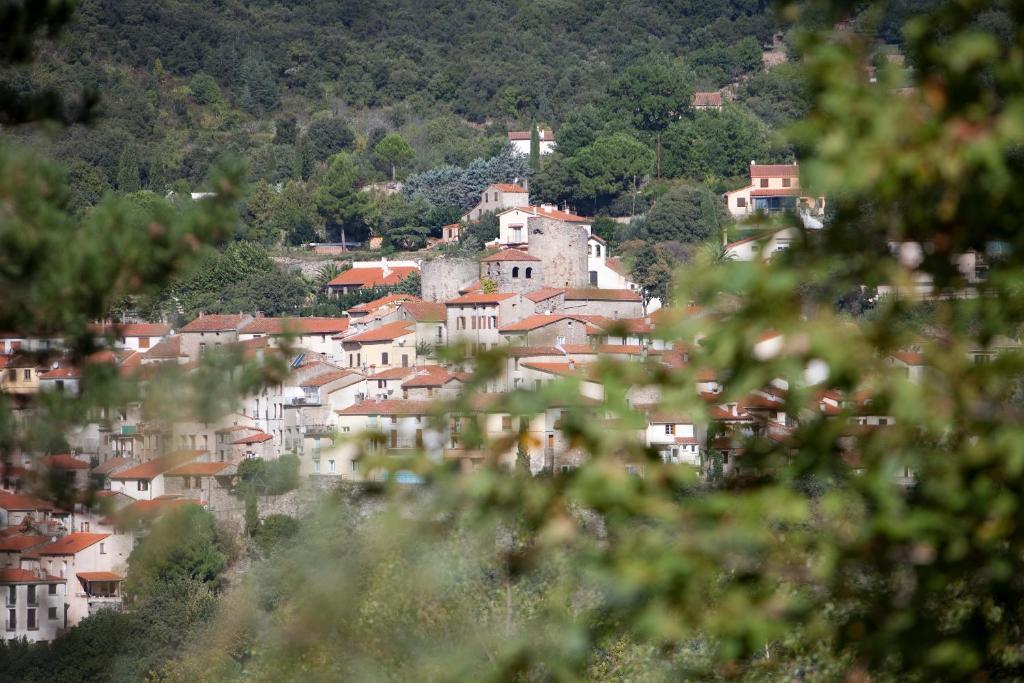 La Pinede Hotel Amélie-les-Bains-Palalda Quarto foto